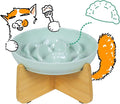 Slow Feeder Cat Bowl with Stand - Unbreakable Elevated Slow Feeder Bowl for Cats - Melamine Puzzle Raised Cat Food Bowl - Whisker Friendly & Wet & Dry Food- Dishwasher Safe & Non Slip (Green by FullCharm