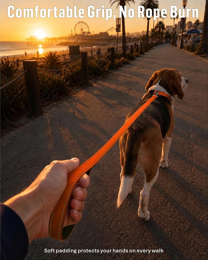 FunTags Reflective Nylon Dog Leash for Small & Medium Dogs, 6FT for Walks | Comfortable Padded Grip, Stay Safe at Night, 360° Anti-Tangle Swivel, for Dog Parks & Trails, Orange - Image 2