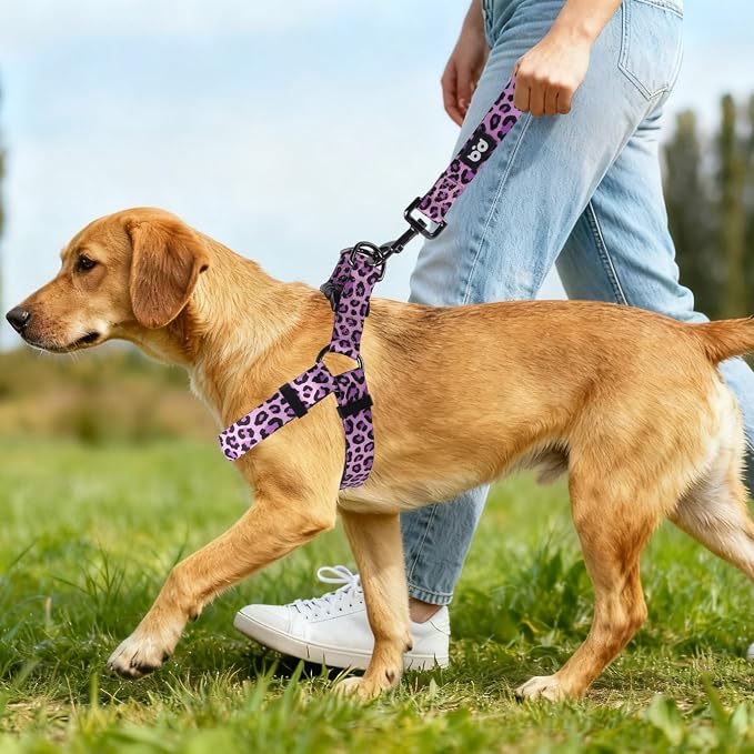 Dog Harness Leash Set Adjustable Heavy Duty No Pull Halter Harnesses for Small Medium Large Breed Dogs Back Clip Anti-Twist Perfect for Walking - Image 5