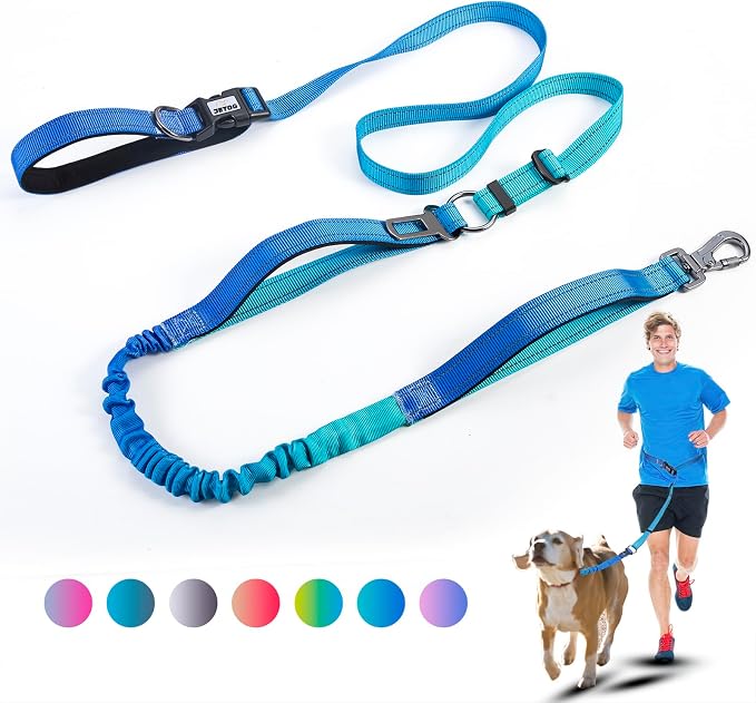 Heavy Duty Hands Free Dog Leash, 5-7 FT Reflective Adjustable Waist Dog Leash Belt with Padded Handles, Shock Absorbing Bungee and Car Seat Belt for Large Medium Dogs (Gradient Cobalt, XL) by JETOG