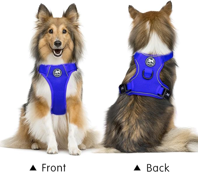 PoyPet Mesh Dog Harness, Reflective Breathable Puppy Vest for Small Dogs | Lightweight, Soft Air Mesh, Back D-ring, Adjustable, Comfortable, Double Padded, No Choke, for Daily Walking, XS, Royal Blue - Image 2