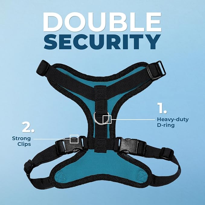 Voyager Step-in Lock Dog Harness - Turquoise/Black Trim, X-Small | 13 - 16" in Chest, Adjustable, Breathable Air Mesh, Lightweight for Daily Walks, Strong Clips, Heavy Duty D-Ring - Image 2