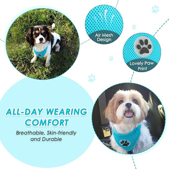 Lukovee Dog Car Harness Seat Belt, Harness & Seatbelt with 2 in 1 Buckle | Adjustable Soft Breathable Mesh Harness, Reflective Elastic Reflective Tether, for Small Medium Large Dogs Pets (L-Blue, XS) - Image 2