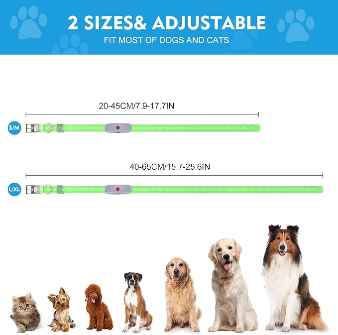 Lighted Dog Collar, Rechargeable Light Up Pet Collar, Waterproof LED Dog Collar Glow in the Dark, Make Pet Visible and Safety for Night Walking for Small Medium Large Dogs (Rainbow) - Image 7