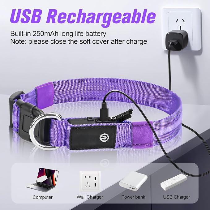 LED Dog Collar, RGB Light Up Dog Collar USB Rechargeable 6 Modes | Waterproof Light Up Dog Collar with Soft Nylon Comfort, Adjustable Fit for Small Medium Large Dogs Purple M - Image 5