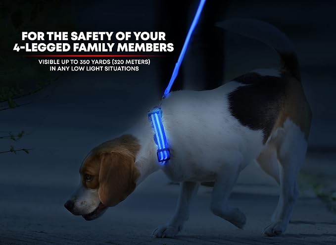 ILLUMISEEN LED Dog Collar USB Rechargeable - Bright & High Visibility Lighted Glow Collar for Pet Night Walking - Weatherproof, in 6 Colors & 6 Sizes (Blue Small) - Image 2