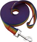 Nylon Training Dog Leash for Small Medium Large Dogs, 15ft 20ft 30ft 50ft Long Leash Dog/Puppy Lead for Obedience Recall Training, Camping (20ft, Rainbow) by MANDAO
