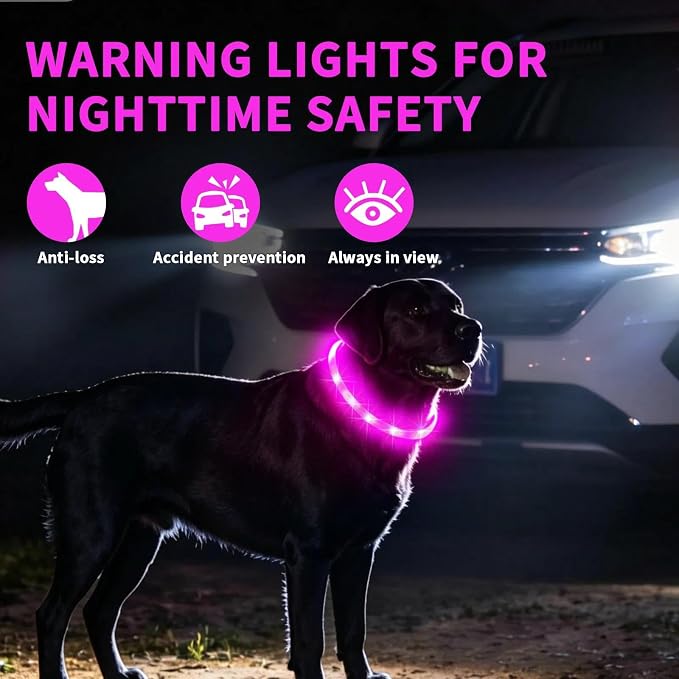 LaRoo LED Dog Collar, USB Rechargeable Flashing Light Dog Collar, Nighttime Safety, Cuttable Size for Small Medium Large Dogs, Makes Your Pet Visible in The Dark (Rose Red) - Image 2