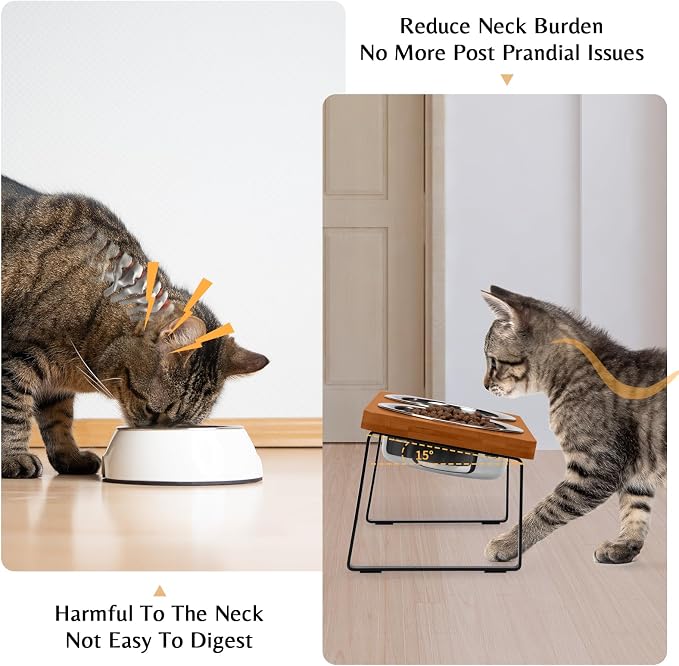 Elevated Cat Food Bowl for Indoor Cat, Brown Raised Water Bowl Set for Pet | Whisker Friendly, Anti Vomit, Feeding Station for Puppy, Stainless Steel, Pet Dish, Easy Assembly, Bamboo, Dishwashers Safe - Image 2