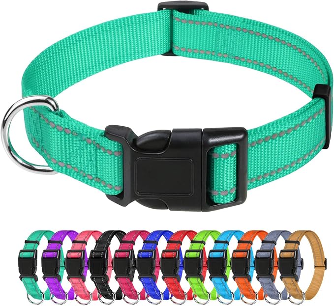 TagME Large Dog Collar, Reflective Nylon Collar, Turquoise, 1.25" Width | Soft Nylon Dog Collar With Reflective Stitching for Night Walks, Adjustable Fit, Quick-Release Buckle for Easy On & Off by TagME