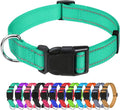 TagME Large Dog Collar, Reflective Nylon Collar, Turquoise, 1.25" Width | Soft Nylon Dog Collar With Reflective Stitching for Night Walks, Adjustable Fit, Quick-Release Buckle for Easy On & Off by TagME