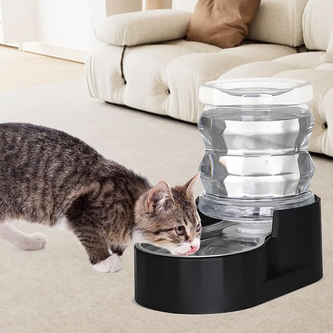 RIZZARI 4L Gravity Cat Water Dispenser: Filtered Hydration for Indoor Cats | Activated Carbon Filter / Stainless Steel Bowl / Apartment Friendly / Bedroom & Kitchen Use / Easy Cleaning/Helps Reduce Odor - Image 4