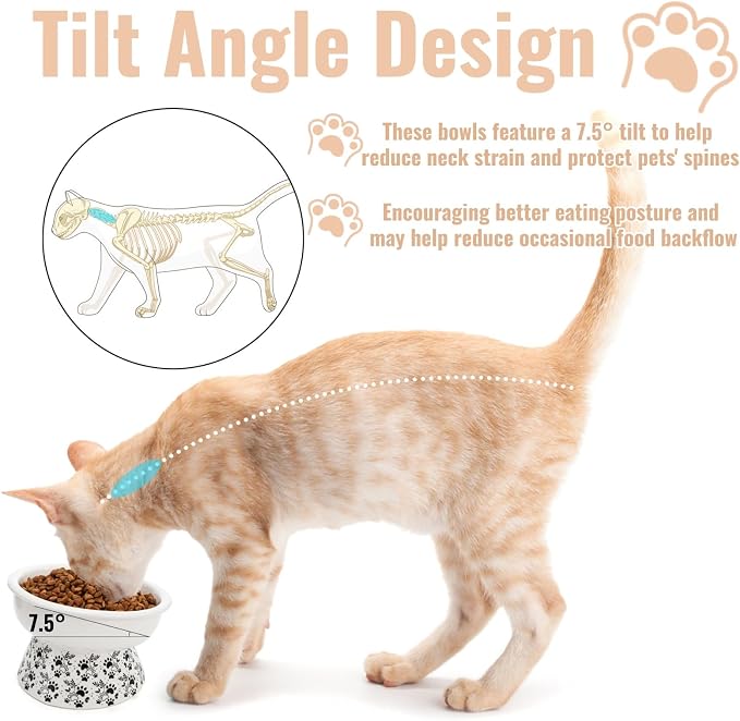 2 Pack Ceramic Elevated Cat Bowls, 6" Extra Wide Tilted Raised Pet Dish, Whisker Friendly Food and Water Bowl for Small Dogs, Anti Vomiting & Protect Pet's Spine, Microwave Dishwasher Safe - Image 4