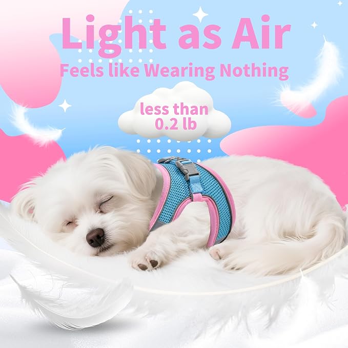 AIITLE Medium Dog Harness and Leash Set, Step-in Puppy Pet Vest, Pink XL | Breathable Mesh, Adjustable Fit, Reflective Design, Padded Leash Handle, for Small-Medium Dogs & Cats, Walking, Training - Image 10