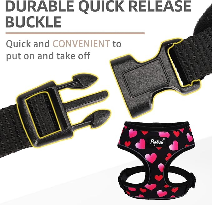 PUPTECK Small Dog Harness and Leash Set No Pull for XS XXS Sized Dogs Puppy | Escape Proof No Choke Pet Cat Adjustable Soft Padded Walking Vest - Image 4