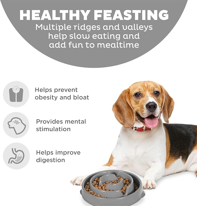 Outward Hound Fun Feeder Slo Bowl Dog Slow Feeder, Drop, Gray, 8.8" | Slows Fast Eaters, Can Aid Digestion, Holds 2 Cups Dry or Wet Food, Non-Slip, Easy Clean, No BPA, Small to Medium Dogs & Cats - Image 2
