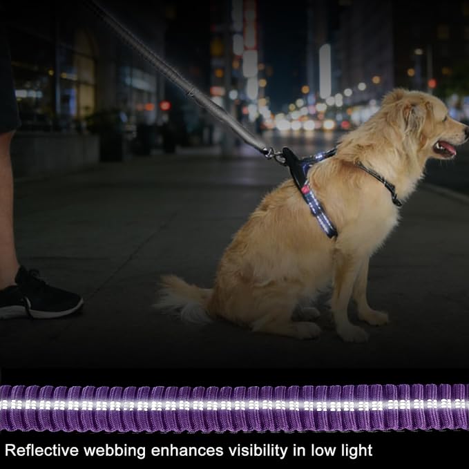 Dog Leash Heavy Duty, Reflective Bungee Leash Seat Belt for L Dogs Purple | 4-6FT Strong Shock Absorbing Tactical with 2 Padded Handles, Dog Tug Lead for Large XL Dogs Walking Running Training - Image 6