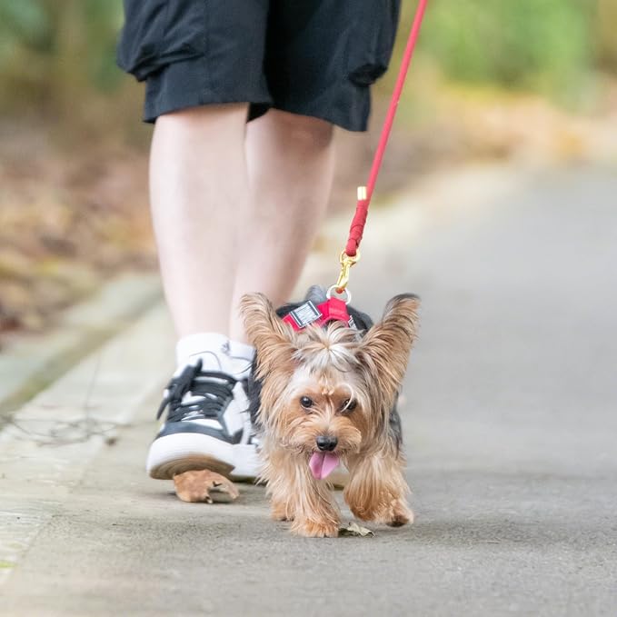 5FT Dog Leash 5/16 inch Puppy Cat Rope Lead | Burgundy Red, with Anti-tangle Swivel Clip, Comfortable Non-slip Grip Handle, Ideal for Daily Walks, for Small Medium Dogs - Image 8