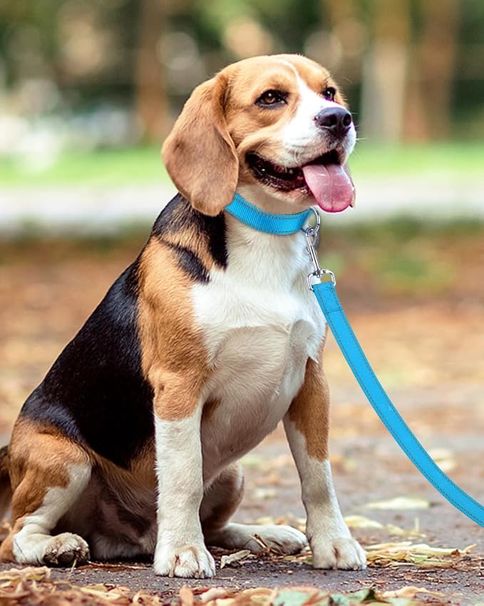 Taglory Reflective Dog Leash for Medium Large Dogs, 1in x 5ft, Sky Blue | Ideal for Night Walking, Strong for Sudden Pulls, Lightweight & Gentle on the Neck, Soft Padded Handle - Image 6