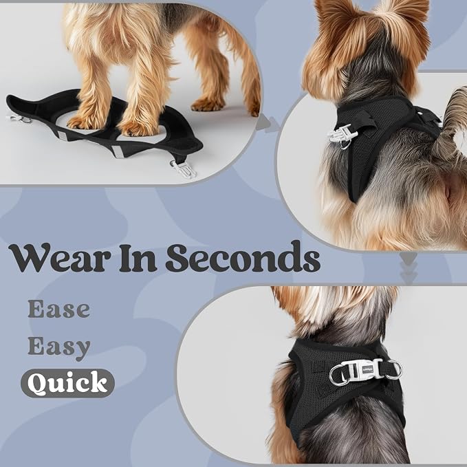 rabbitgoo Step-in Small Dog Harness, Puppy Vest for Small Medium Sized Pet | Easy Put on and off, Lightweight, Soft, Breathable Quick-Dry Air Mesh for Comfortable Secure Walking, Black L - Image 6
