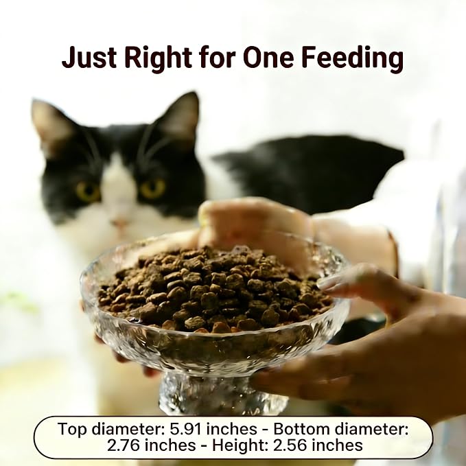Elevated Cat Bowls, Small Glass Pet Feeding Bowls for Food and Water, Raised Design for Pet Easy Eating - Image 3