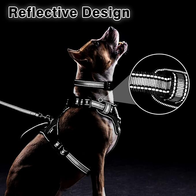 Pet Harness Collar and Leash Set, All-in-one Reflective Dog Harness No Pull with Adjustable Buckles for Puppies, Small, Medium, Large, and Extra-Large Dogs (Medium, Black) - Image 5