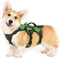 rabbitgoo Escape Proof Dog Harness for Small, No Pull with Lift Handle | No Escape, Full Soft Padded, Reflective Adjustable Vest, Leash Clip for Walking Hiking Training, Green, Small by rabbitgoo