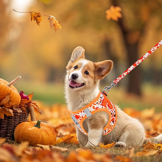 Thanksgiving Autumn Puppy Harness - Dog Collar and Leash - Soft Mesh Padded Adjustable Step in Small Dog Vest Harness No Pull, Reflective Escape Proof for Outdoor Walking, Orange S - Image 7