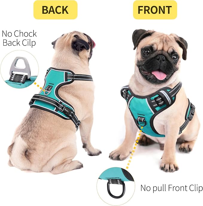 HEELE Dog Harness, No Pull Adjustable Padded Reflective Harness for Small Medium Large Dogs with Handle for Walking Training,Turquoise, M | Reflective Front Clip Vest with Control Handle, No Choke, Adjustable 2 Metal Rings for Outdoor Walking Training - Image 4