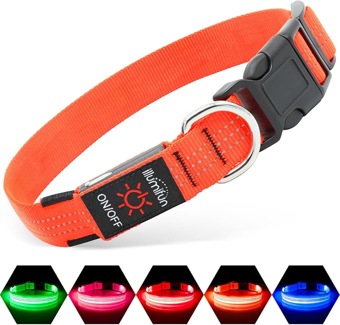 Illumifun LED Dog Collar USB Rechargeable Light Up Dog Collar, Reflective Pet Safety Collar Light Glow in the Dark (OrangeⅢ, Medium) by Illumifun
