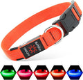 Illumifun LED Dog Collar USB Rechargeable Light Up Dog Collar, Reflective Pet Safety Collar Light Glow in the Dark (OrangeⅢ, Medium) by Illumifun