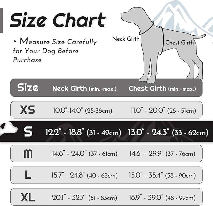 Eagloo Dog Harness for Small Dogs, No Pull Pet Vest with 2 Leash Clips | No Choke with Handle, Adjustable Comfort Fit, Reflective Strips, Easy Walking Control, Black, Small - Image 2