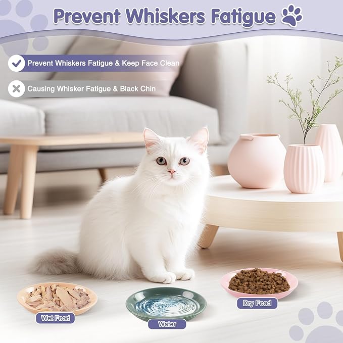 6 Pack Cat Food Bowl, Ceramic Cat Bowls, Anti Whisker Fatigue Cats Bowl Set | 5.5 Inches Shallow Wide Kitten Plates for Food and Water (CaiSe-B) - Image 3