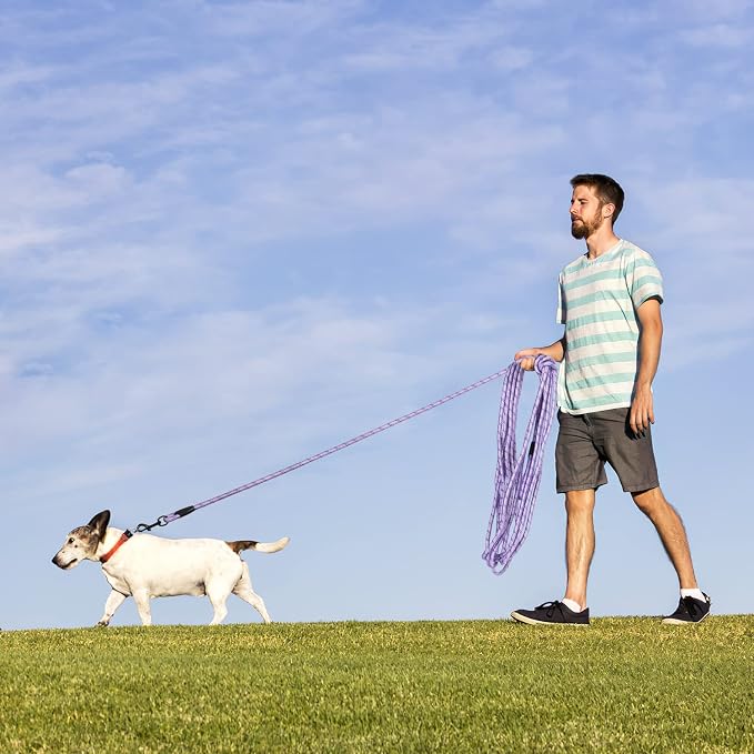 Long Dog Leash for Training 30Ft-Reflective Nylon Rope with Swivel Hook-Recall Agility Lead for Large Small Medium Dogs Outside Walking Hiking-Purple Diam 1/2" - Image 6
