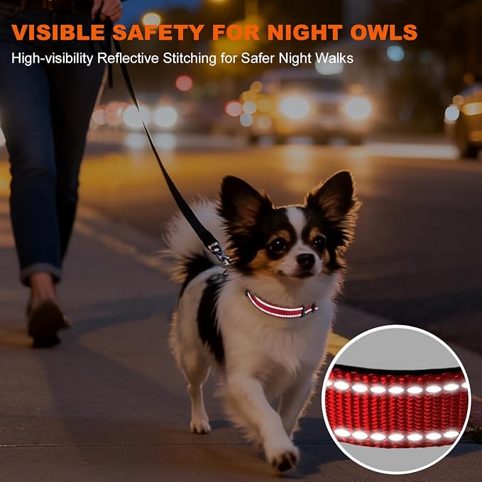 Taglory Reflective Dog Collar for Puppies, Gentle and Safe for Night Walks | Night-Walk Visibility, Soft Neck Cushioning, Adjustable 8-12 in, Locking Buckle, D-Ring for Leash and ID Tags - Image 5