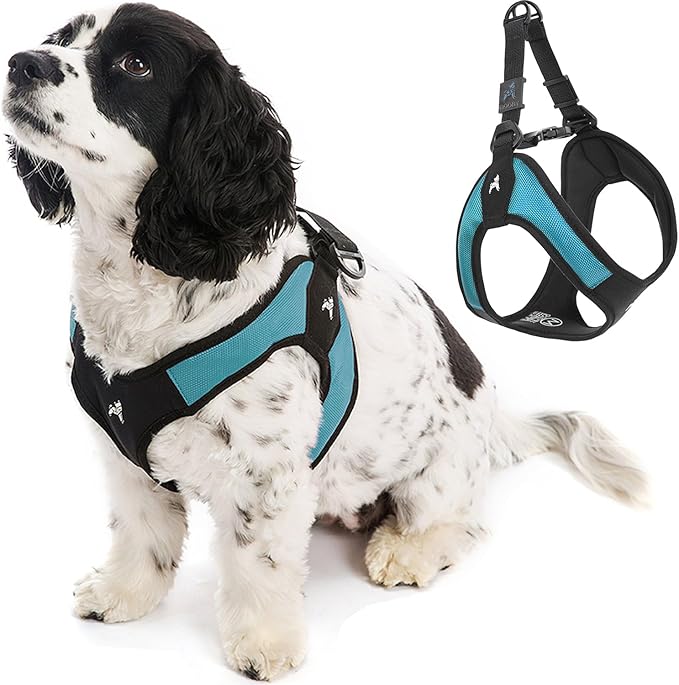 Gooby Escape Free Easy Fit Dog Harness, Step-in, Turquoise, Small | Patented escape-free frame; Contracts if they back out; Step-in easy on/off; Machine washable; Light POM leash ring by Gooby