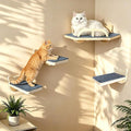 with 3 Climbing Steps Natural Wood Corner Cat Wall Shelves | Wall Mounted Indoor Catio Activity Lounge by ZeHaiYlf