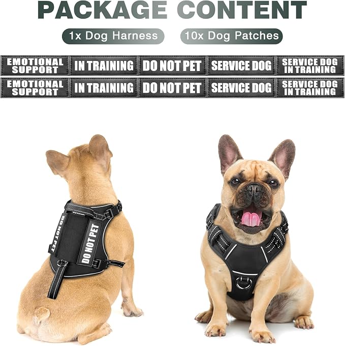 Tactical Dog Harness, No Pull Dog Harness for Medium Large Dogs with Handle & Molle, Military Service Dog Vest Harness in Training Pet Harness for Small Dogs - Image 2