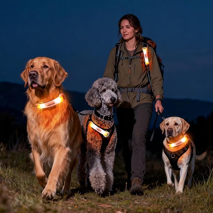 LaRoo LED Dog Collar Light - Glow Safety Light for Night Walking, Universal Fit for Collars/Leashes/Harnesses, Waterproof Pet Night Light for Dogs - Enhanced Visibility for Outdoor Safety - Image 7