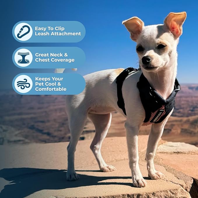 Voyager Step-in Lock Dog Harness - Pink/Black Trim, Large | 20 - 25" in Chest, Adjustable, Breathable Air Mesh, Lightweight for Daily Walks, Strong Clips, Heavy Duty D-Ring - Image 3