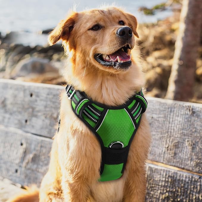 rabbitgoo Dog Harness for Large, No Pull 3 Buckles Easy On & Off | Soft Padded, Walking with Control Handle, Adjustable and Reflective, Green, X-Large - Image 8