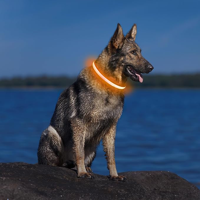 PcEoTllar Light up Dog Collar, for Night Walking, Adjustable, Orange, L | Colorful RGB Light, Waterproof, For Small Medium and Large Dogs, Durable Material, USB to Charge - Image 6