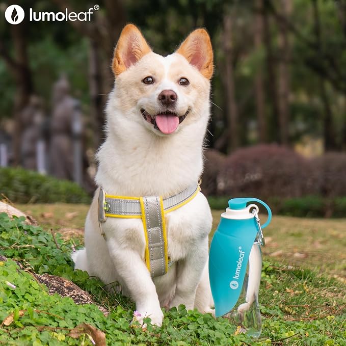 LumoLeaf Dog Water Bottle for Walking, Portable Pet Water Dispenser with Foldable Leaf Bowl – Lightweight Travel Bottle for Small & Medium Dogs, 20 fl oz - Image 7