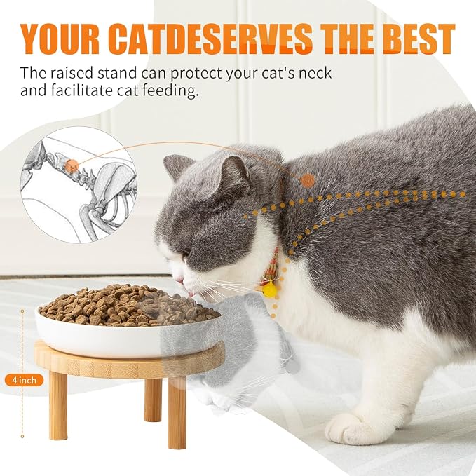 Lusifaco Shallow Wide Elevated Cat Bowls Whisker Fatigue (White, Set of 2) | 5.9 Inch 2 Height Raised Ceramic Cat Dishes with Bamboo Stand, Flat Pet Water Food Plates Feeding Station for Indoor Kitten - Image 9