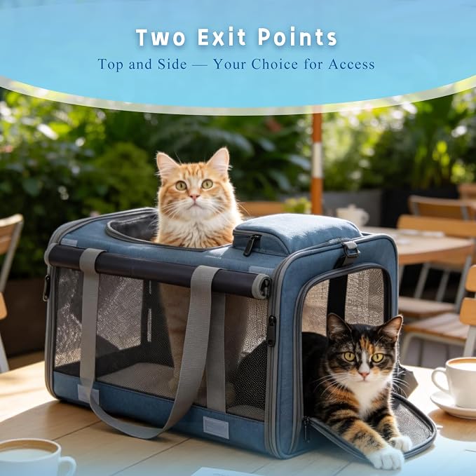 Pet Carrier for Medium-Small Cats, Collapsible Cat Carrier and Soft-Sided Pet Carrier for Medium Big Cats and Puppy Up to 17lbs, 2-Way Entry with Privacy Cover, Travel Bag L18.9”X11.42”X11.42” - Image 5