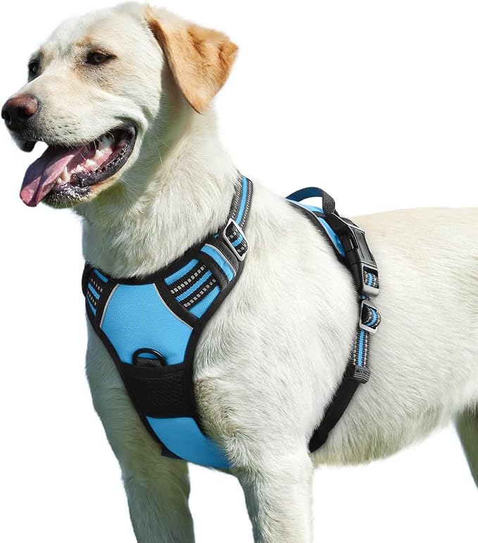 Eagloo Dog Harness for Large Dogs, No Pull Pet Vest with 2 Leash Clips | No Choke with Handle, Adjustable Comfort Fit, Reflective Strips, Easy Walking Control, Sky Blue, Large by GoExplorewithEagloo