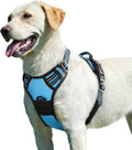 Eagloo Dog Harness for Large Dogs, No Pull Pet Vest with 2 Leash Clips | No Choke with Handle, Adjustable Comfort Fit, Reflective Strips, Easy Walking Control, Sky Blue, Large by GoExplorewithEagloo