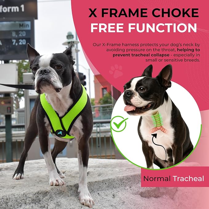 Gooby Comfort X Head-in Dog Harness, Choke-Free, Green, Small | Patented choke-free X-frame; Secure head-in fit; Lightweight breathable mesh; Back metal D-ring; Machine washable - Image 7