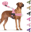 SlowTon No Pull Dog Harness with Front Clip - Heavy Duty, Soft Padded | Neck & Chest Adjustable, Tactical Pet Vest and Leash Set for Large Medium Sized Dogs, for Easy Walk & Training, Pink XL by SlowTon