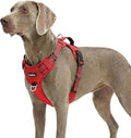 Dog Harness No Pull, Adjustable Pet Vest Harness, Super Soft Material with Vertical Handle Easy Control, Reflective Night Walking, 2 Leash Clips for XLarge Dogs, Red, XL by MyFUNFOX